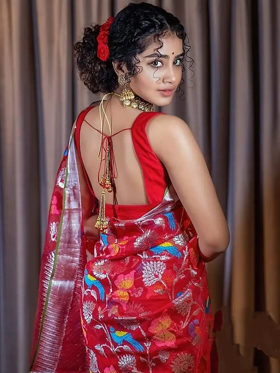 Portrait of Anupama Parameswaran