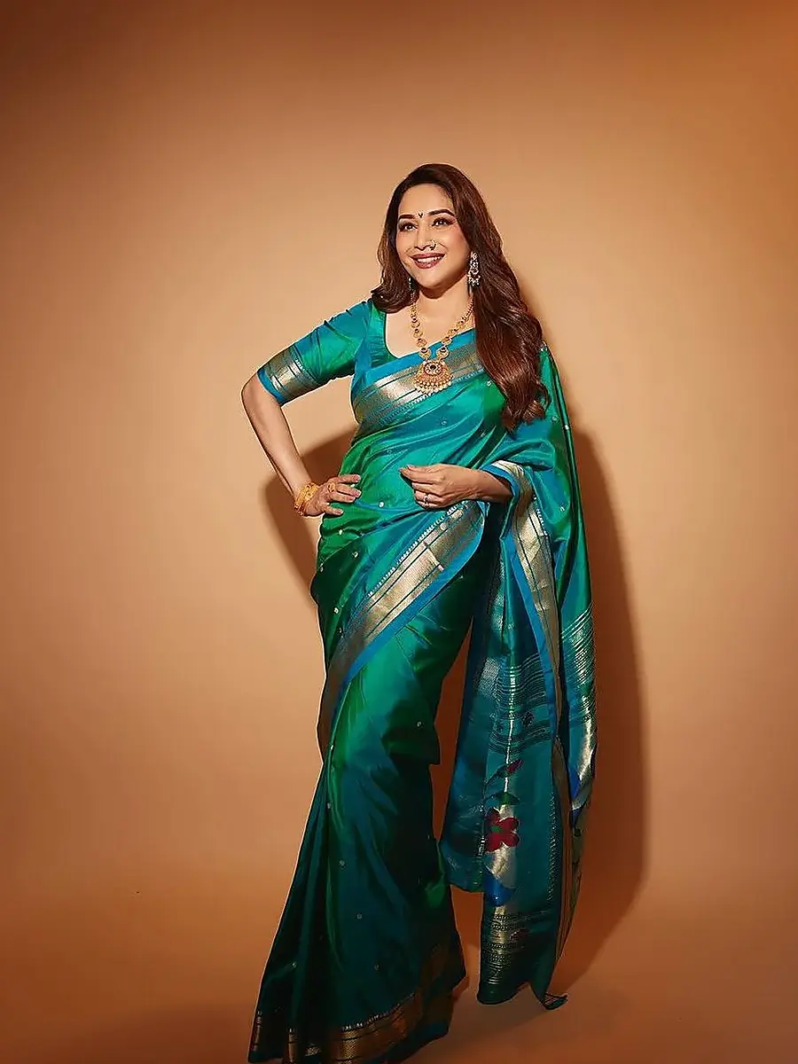Portrait of Madhuri Dixit Nene